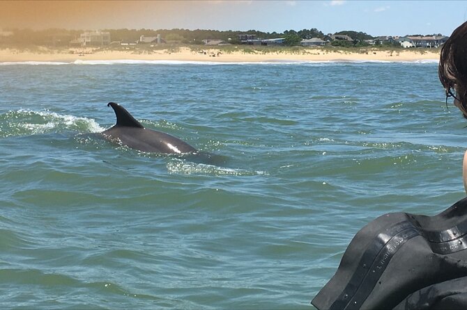 Small Group Dolphin Kayak Eco-Tour - Health and Safety Considerations