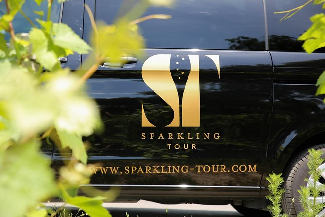 Small Group - Half Day Champagne Tour - Visit of 2 Small Producers/Growers - Booking and Logistics