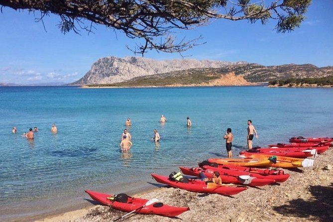 Small Group Kayak Tour With Snorkeling and Fruit - Included Amenities