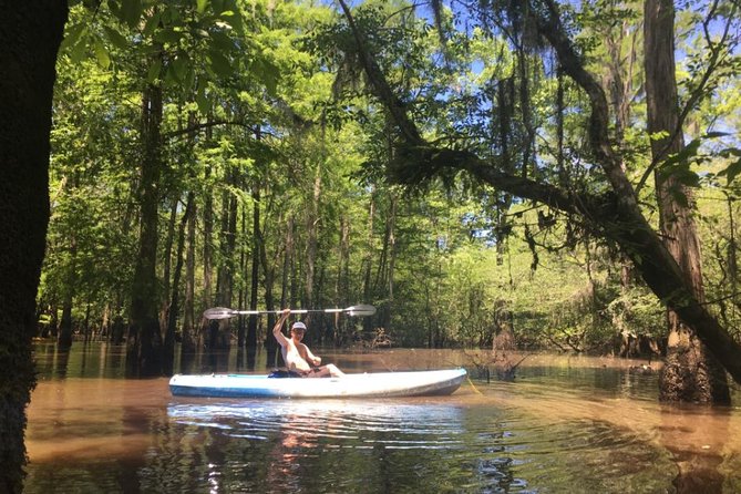 Small-Group Manchac Swamp Kayak Tour - Traveler Experiences