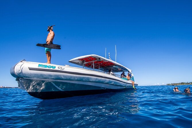 Small-Group Manta Ray Moonlight Snorkel From Kona - Snorkel Gear and Refreshments
