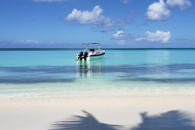 Small Group: Saona Island Full Day Tour - Concerns and Feedback
