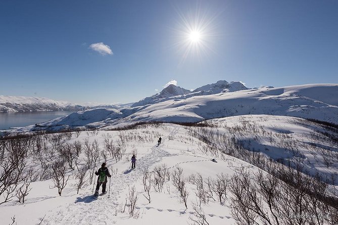 Small-Group Snowshoeing Tour From Tromso - Scenic Hiking Through Arctic Landscapes