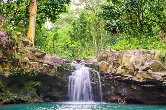Small Group Waterfall and Rainforest Hiking Adventure on Maui - Hiking Through the Rainforest Terrain