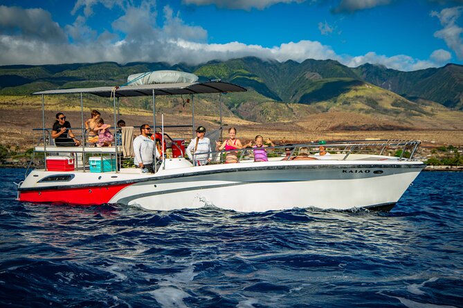 Small-Group Whale Watching Adventure - Booking Information