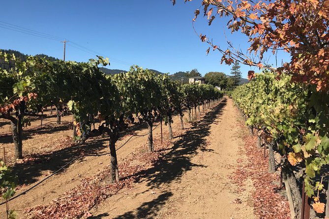 Small-Group Wine Country Tour From San Francisco With Tastings - Exploring Boutique Wineries