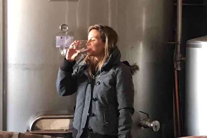Small-Group Wine Tour & Silves Exploration (from Albufeira) - Pricing and Booking