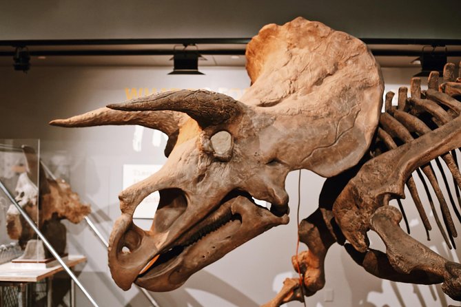 Smithsonian Museum of Natural History - Exclusive Guided Tour - Guest Experiences and Reviews