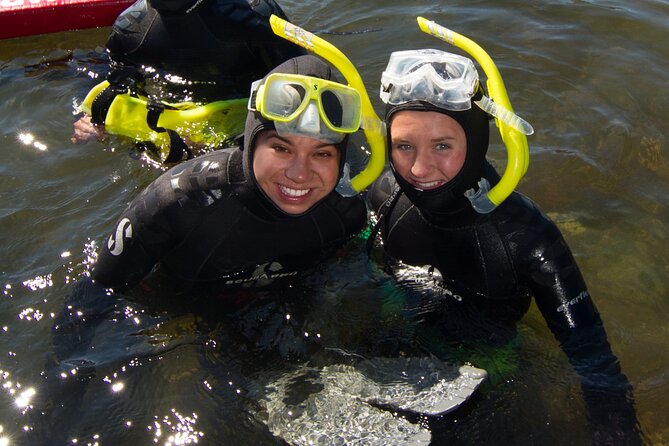 Snorkel Alaska - Marine Life Encounter