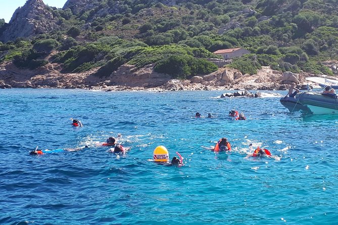 Snorkeling Marine Protected Area Tavolara - Highlights of the Snorkeling Tour