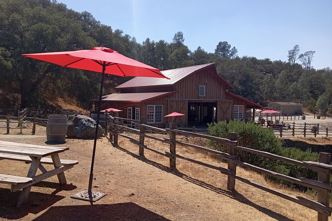 Sonoma Horseback-Riding Tour - Breathtaking Views of Sonomas Landscape
