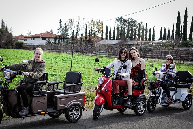 Sonoma Wine Country Electric Trike Tour - 3 Hours - Guides and Customer Feedback