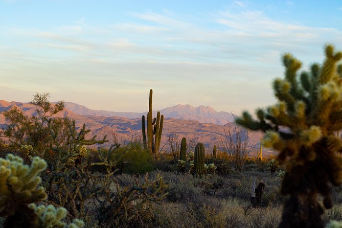 Sonoran Desert Jeep Tour at Sunset - Meeting Point and Pickup Information