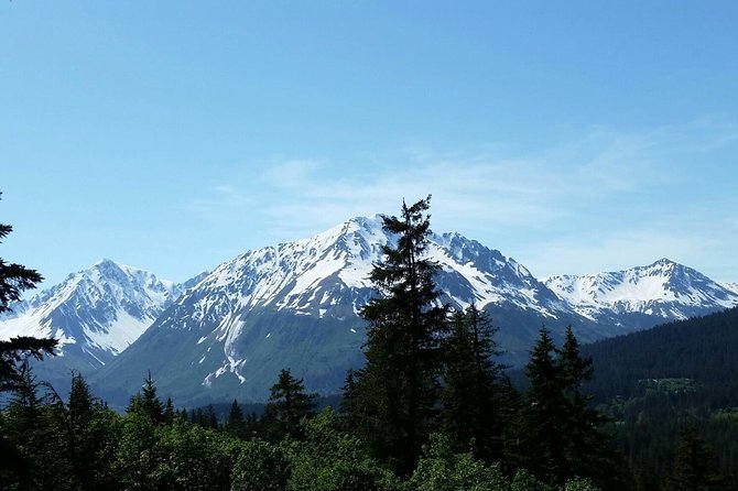 Stoney Creek Canopy Adventure - Customer Feedback and Recommendations