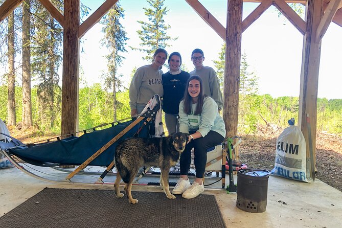 Summer Dog Sledding Adventure in Willow, Alaska - Accessibility and Participation Considerations