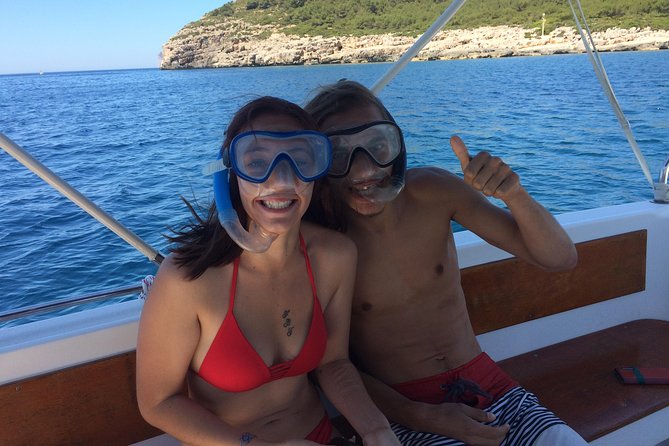 Summer Tour: Dolphin Watching and Guided Snorkeling - Guided Snorkeling Adventure
