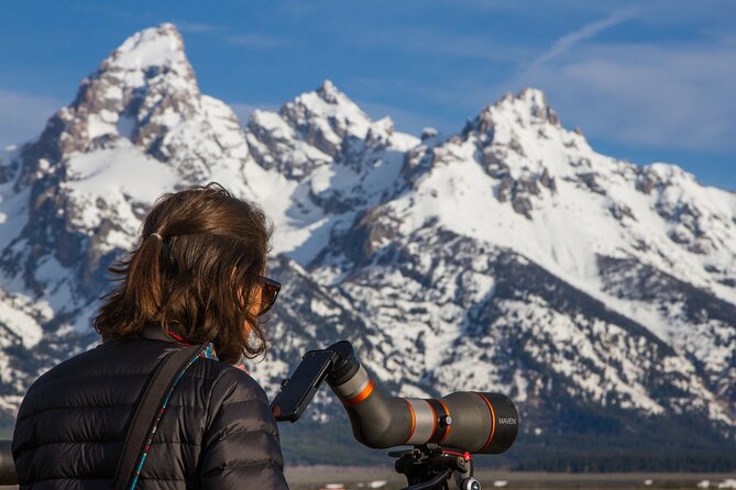 Sunrise 4-Hour Grand Teton Wildlife Adventure - Pricing, Cancellation, and Traveler Feedback