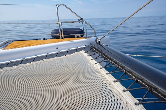 Tenerife Whales and Dolphins Watching Experience in Catamaran - Traveler Reviews and Ratings