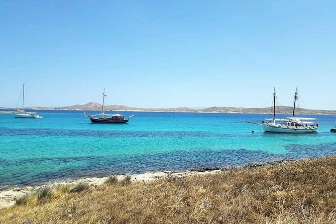 The Authentic Rhenia-Delos Cruise - Customer Feedback and Experience