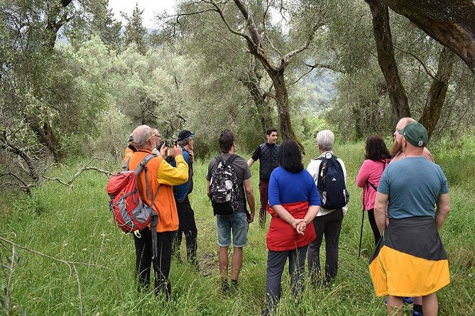 The Governors Olive Mill Tour With Olive Oil Tasting - Convenient Pickup and Drop-off