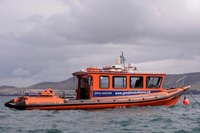 The Great Blasket Island Experience - Premium Tour - What to Expect on the Tour