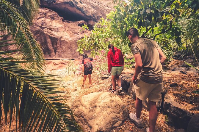 The Red Canyon Tour - Small Group Trip With Local Food Tasting ツ - Explore the Unique Landscapes of Gran Canaria