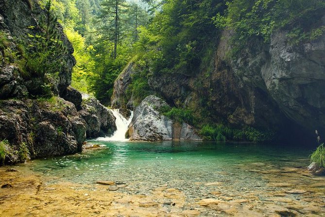 Thessaloniki: Bus Trip to Dion & Mt Olympus National Park - Tour Guidelines and Recommendations