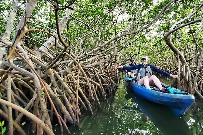 Thousand Island Mangrove Tunnel, Manatee & Dolphin Kayak Tour W/Cocoa Kayaking - Customer Feedback