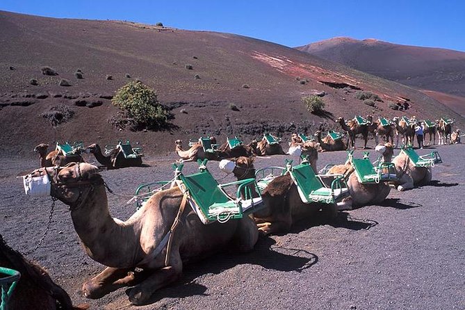 Timanfaya, Golfo, Jameos Agua & Camel Ride (opt) - Lanzarote - Timanfaya National Park