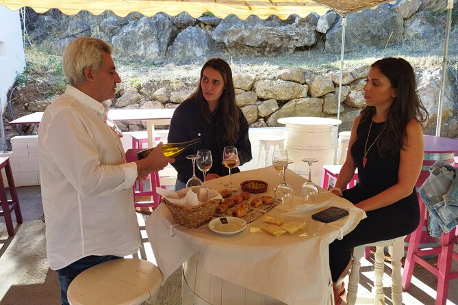 TOP WINE TOUR- Vineyard & Cellar Visit + 6 TOP WINEs + Tapas - Exploring the Vineyard and Wine Cellar