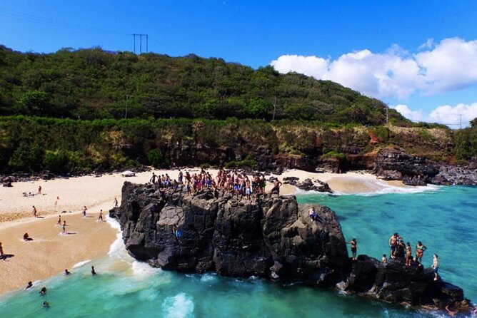 Tour of North Shore & Waimea Waterfall - Savoring Shrimp at Fumis Kahuku