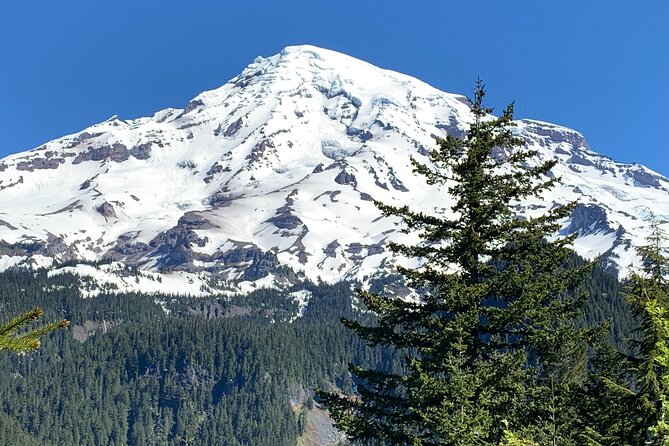 Touring and Hiking in Mt. Rainier National Park - Positive Guest Experiences and Feedback