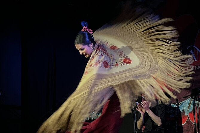Traditional Flamenco Show at Tablao Casa Ana - Performance Duration and Audience Suitability
