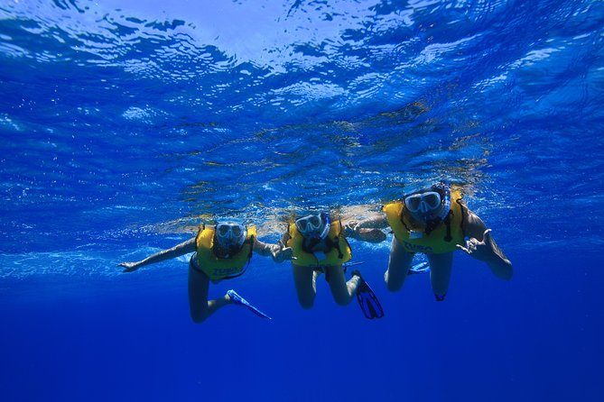 Turtle Canyons Snorkel Excursion From Waikiki, Hawaii - Exploring the Underwater World