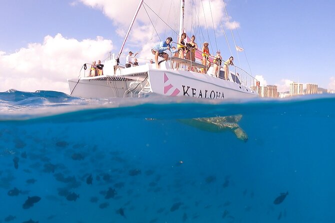 Turtle Snorkeling Boat Tour and Adventure in Waikiki - Exploring Waikikis Turtle Canyon
