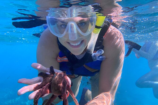 Turtle Town Snorkel With Photo and Video - Exploring the Underwater Wonders