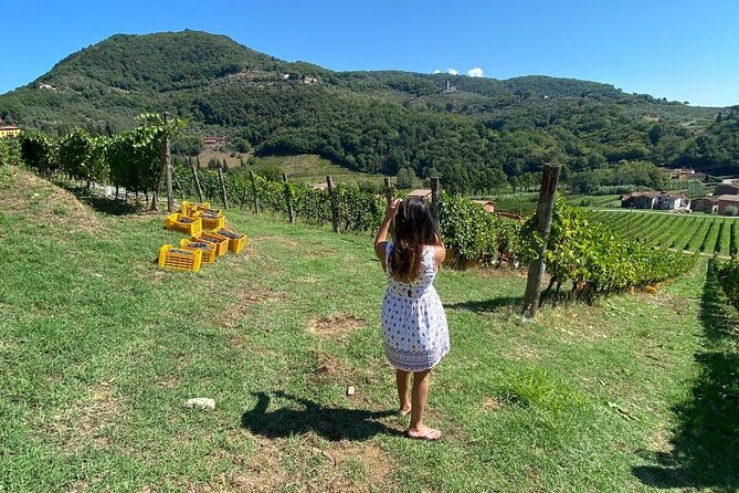 Tuscan Wine Tour in Lucca by Van - Traveler Testimonials