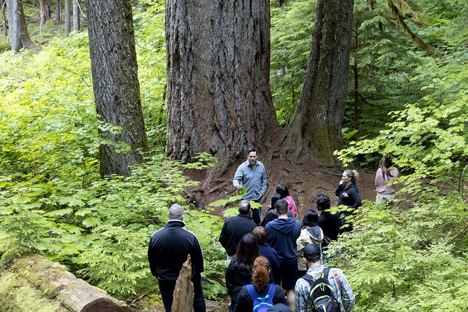 Viator Exclusive Day-Tour From Seattle to Mt. Rainier - Weather Considerations