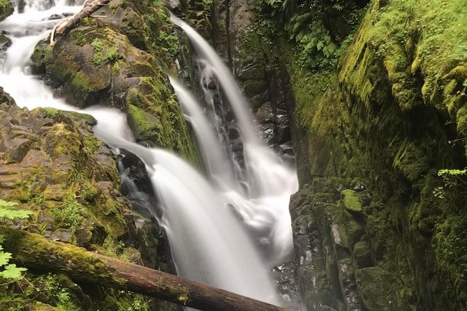 Viator Exclusive Tour- Olympic National Park Tour From Seattle - Exploring Hurricane Ridge