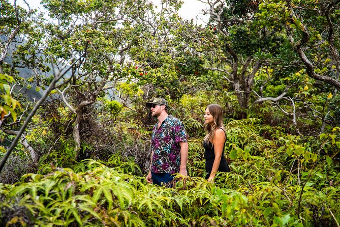 VIP Private Road to Hana Tour With Pick up - Customizing Your Tour