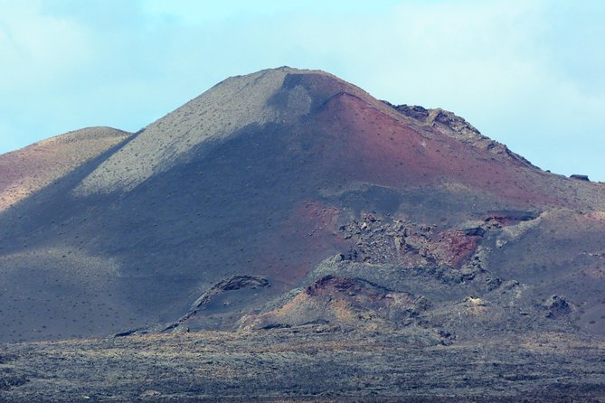 Volcano Hike - Timanfaya Eruptions - Plant and Animal Life in Extreme Environments