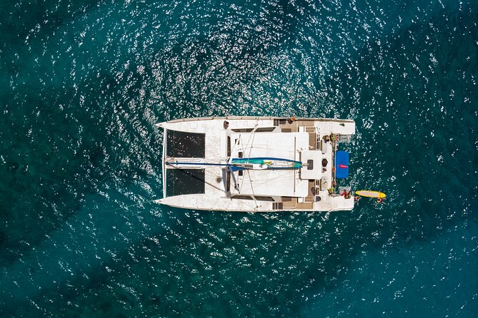 Waikiki Catamaran Adventure: Snorkel With Sea Turtles - Guest Experiences and Recommendations