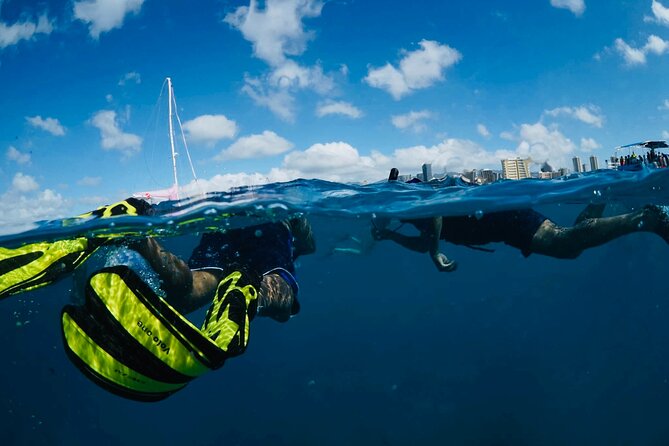 Waikiki Snorkel Tour - Safety and Health Considerations