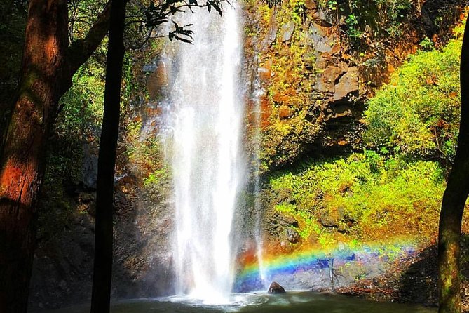 Wailua River & Waterfalls Kayak Tour: Expert-Guided Adventure - Traveler Experiences
