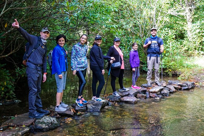 Waterfall Hike and Jeep Excursion - Waterfall Hiking Tour - Exploring Pisgah National Forest