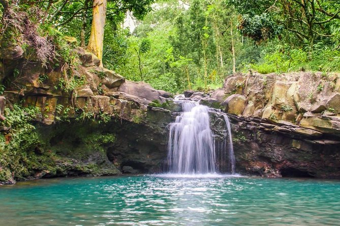 Waterfall & Rainforest Hiking Adventure With Hotel Pickup - Savor a Healthy Lunch