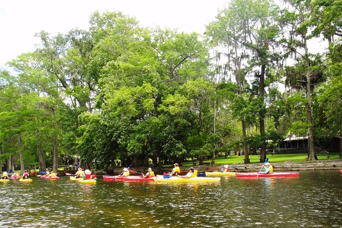 Wekiva River Guided Kayak Tour - Customer Testimonials