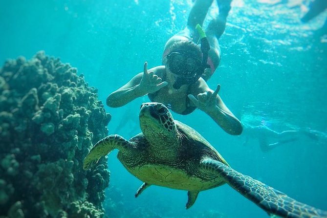 West Maui Half Day Snorkel From Ka'Anapali Beach - Meeting Point and Logistics