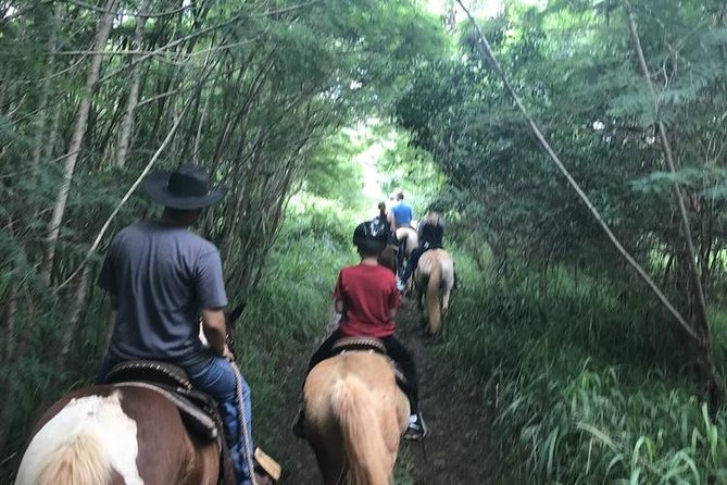 West Maui Mountain Waterfall and Ocean Tour via Horseback - Exploring the West Maui Mountains