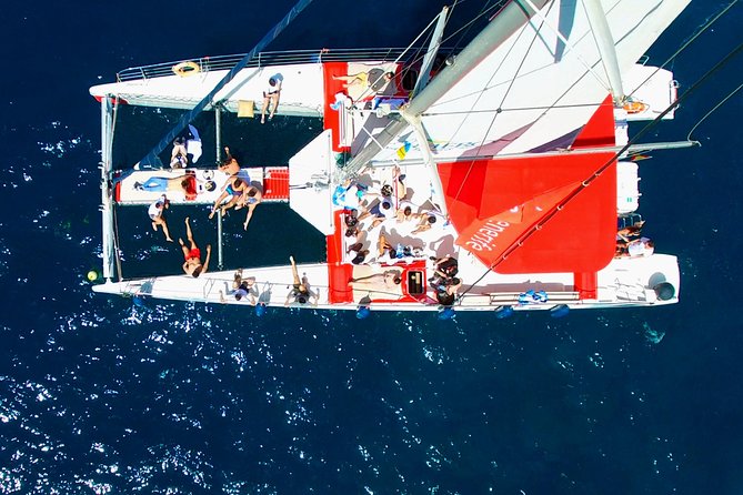 Whale Watching and Listening Eco Catamaran Tour With Food Tasting - Feedback From Previous Participants